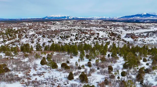 $230,000 | Lot #36 North Gurley Lake Drive, Norwood, CO 81423