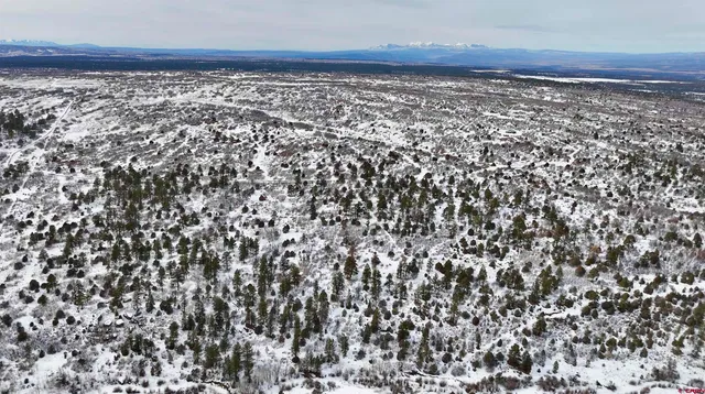 $230,000 | Lot #36 North Gurley Lake Drive, Norwood, CO 81423