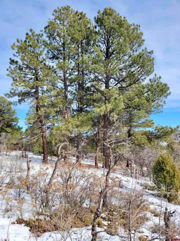 $230,000 | Lot #36 North Gurley Lake Drive, Norwood, CO 81423
