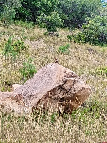 $230,000 | Lot #36 North Gurley Lake Drive, Norwood, CO 81423