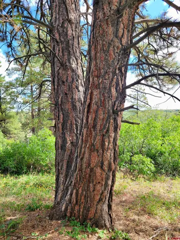 $230,000 | Lot #36 North Gurley Lake Drive, Norwood, CO 81423