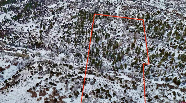 $230,000 | Lot #36 North Gurley Lake Drive, Norwood, CO 81423