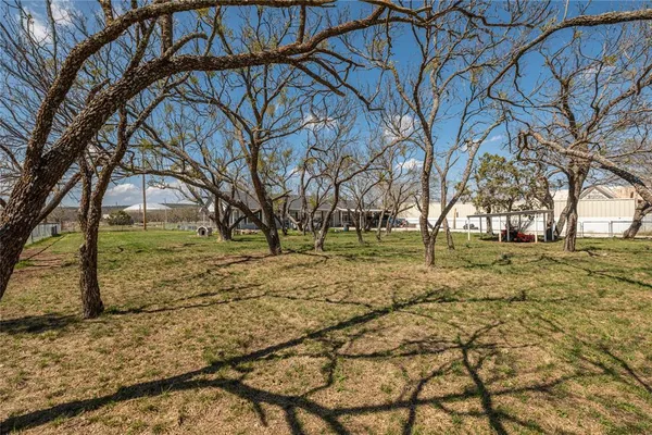 a view of a yard with plants and trees