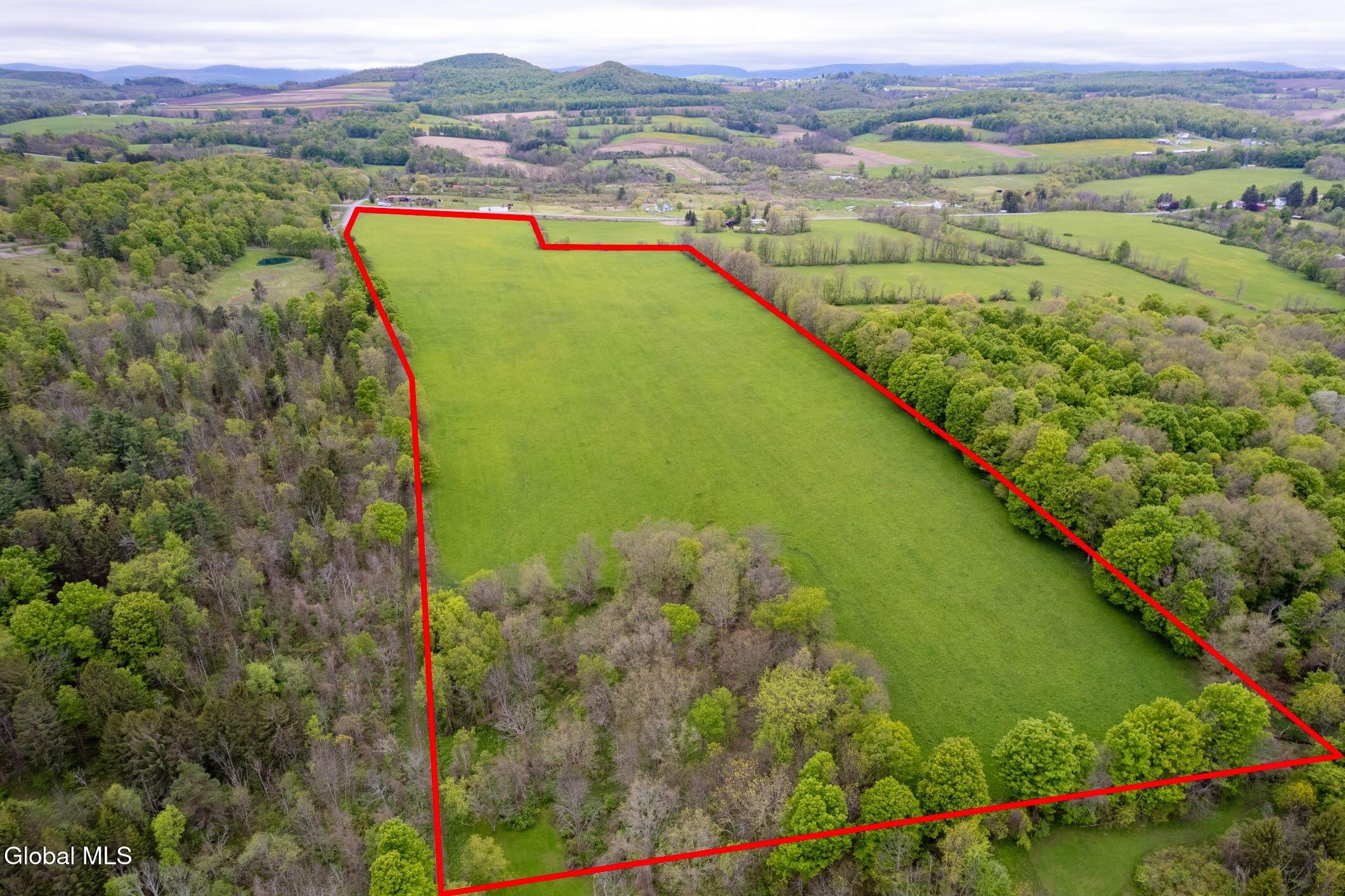 229 Scofield Road Sharon Springs, NY 13459 - Photo 3 of 17 8-229 Scofield
