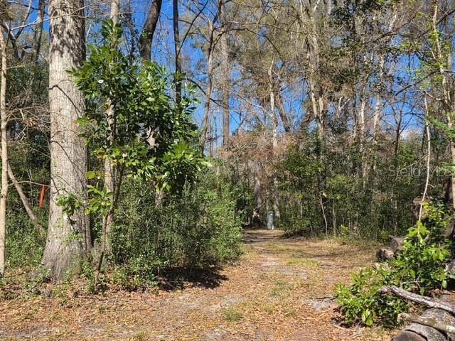 1187 Boston Road Fort White, FL 32038 - Photo 11 of 26 a view of backyard with green space