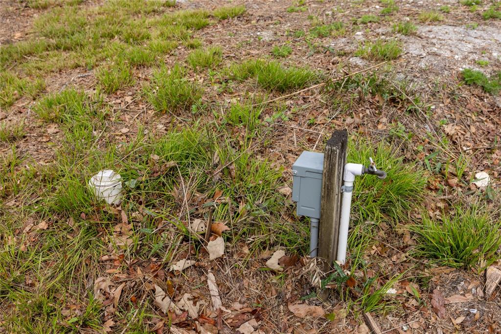 1187 Boston Road Fort White, FL 32038 - Photo 14 of 26 a view of a garden with a tree