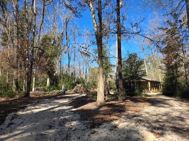 1187 Boston Road Fort White, FL 32038 - Photo 2 of 26 a view of road with large trees