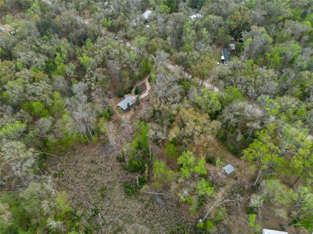 1187 Boston Road Fort White, FL 32038 - Photo 23 of 26 a view of a forest with lots of trees