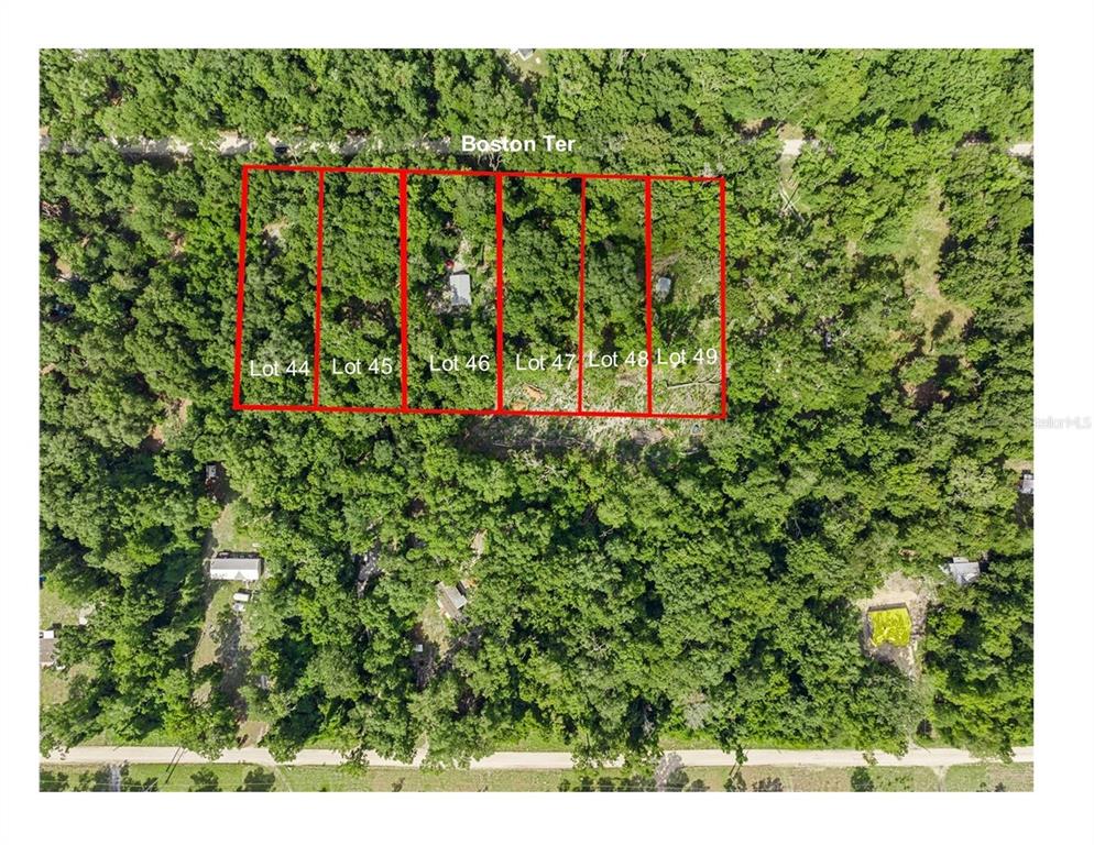 1187 Boston Road Fort White, FL 32038 - Photo 25 of 26 a view of a bunch of trees