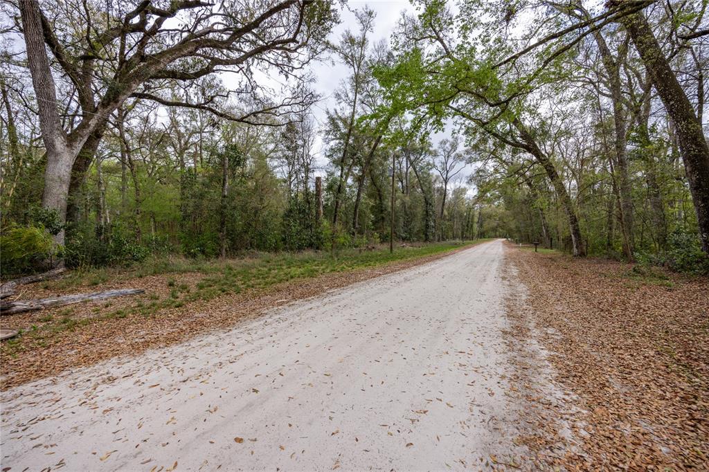 1187 Boston Road Fort White, FL 32038 - Photo 26 of 26 a view of a backyard with large trees