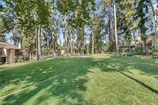 a garden view with trees