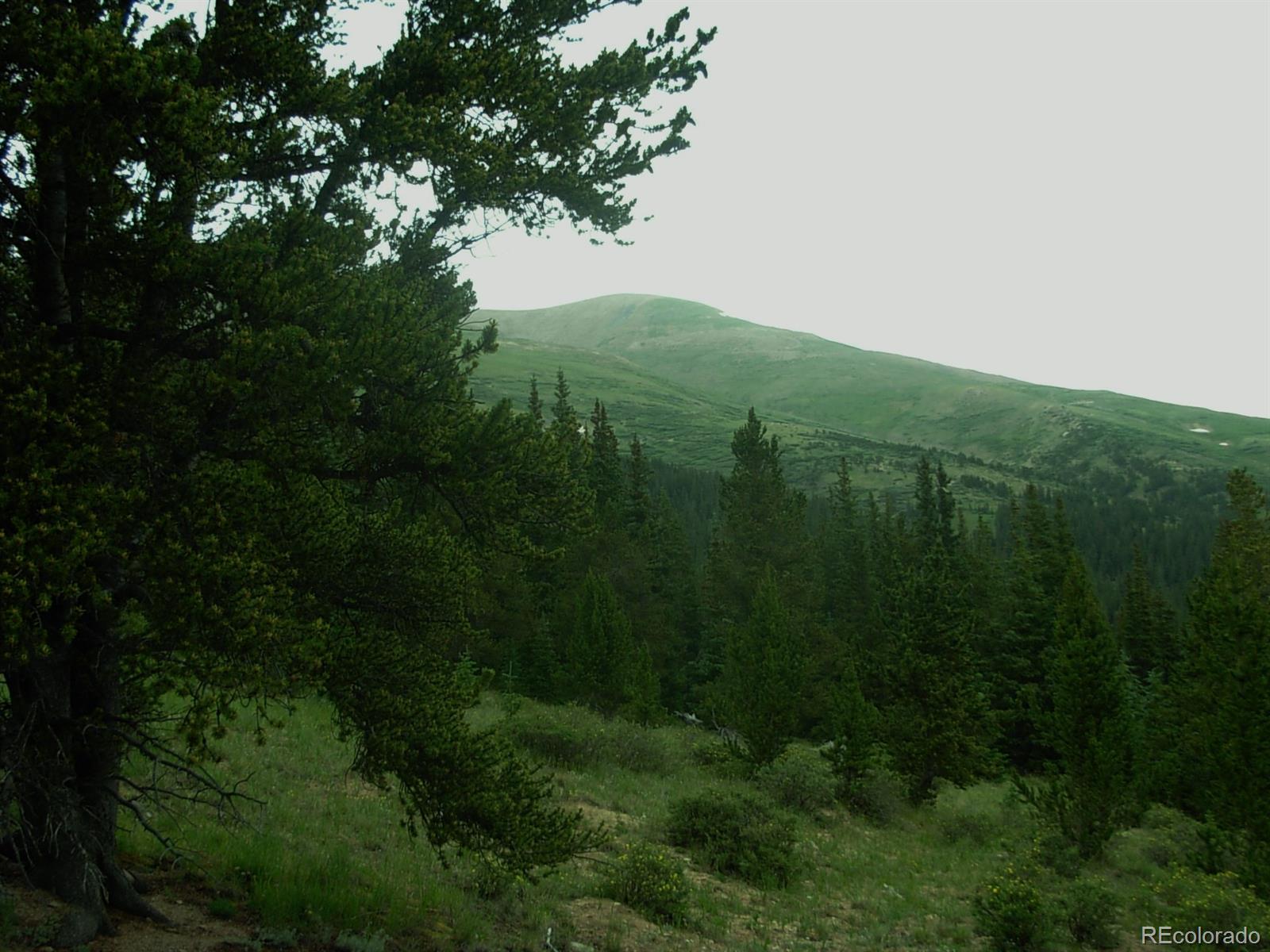 0 Co Road Alma, CO 80420 - Photo 1 of 1 Gallery Image 1