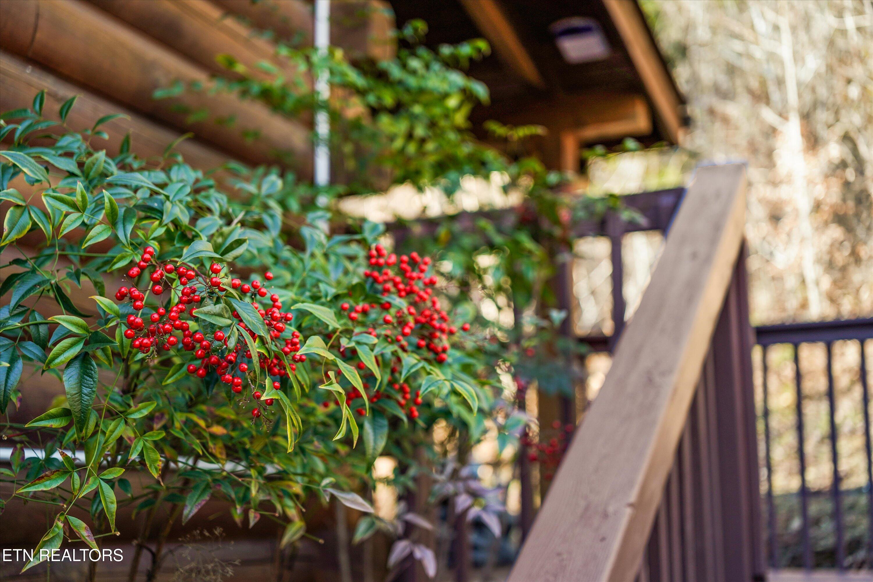 1627 Eagle Springs Road Sevierville, TN 37876 - Photo 4 of 60 04-1627 Eagle Springs Rd-78