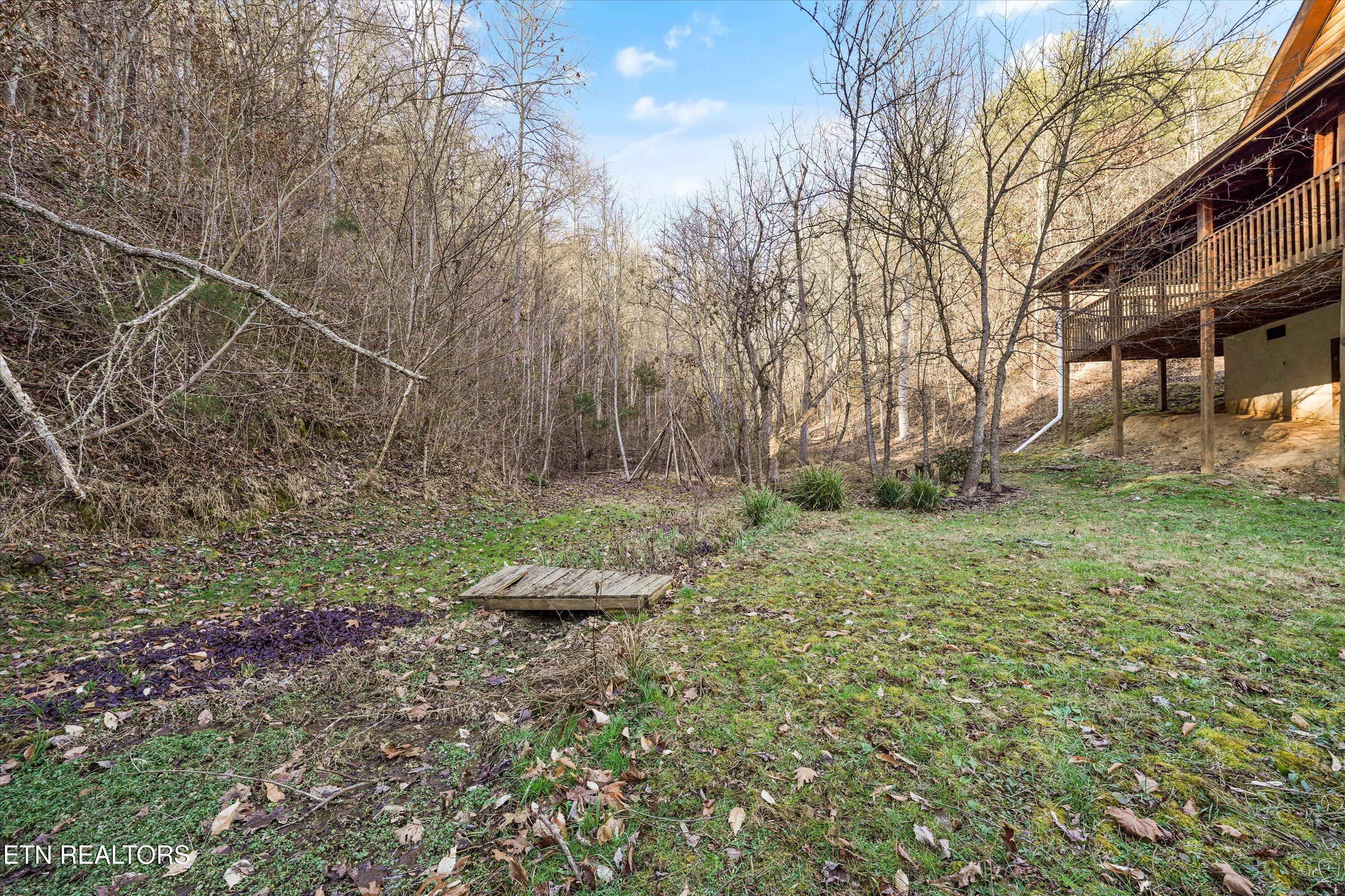 1627 Eagle Springs Road Sevierville, TN 37876 - Photo 58 of 60 74-1627 Eagle Springs Rd-38
