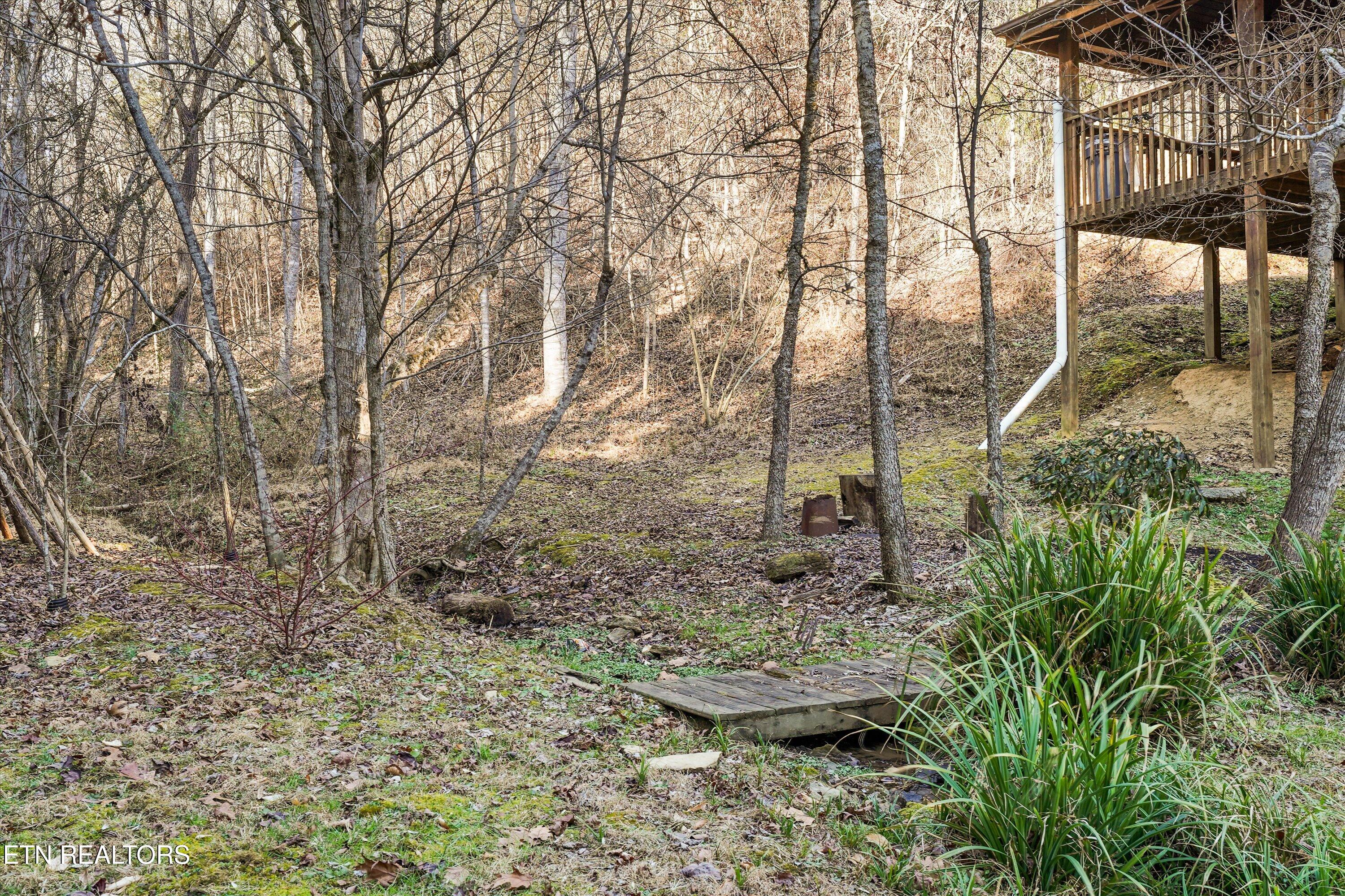 1627 Eagle Springs Road Sevierville, TN 37876 - Photo 59 of 60 75-1627 Eagle Springs Rd-39