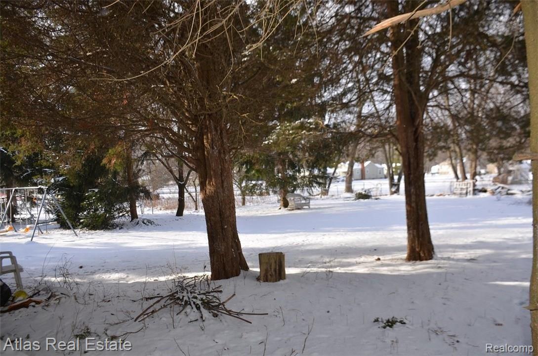 3060 Donley Avenue Rochester, MI 48309 - Photo 11 of 25 yard.JPG