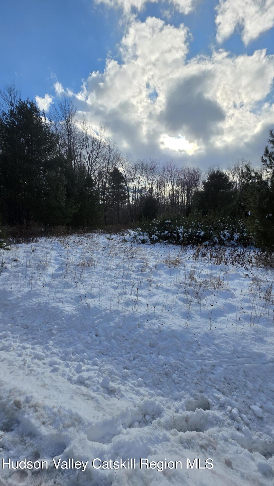 1487 Ulster Heights Road Ellenville, NY 12428 - Photo 5 of 6 a view of outdoor space and yard