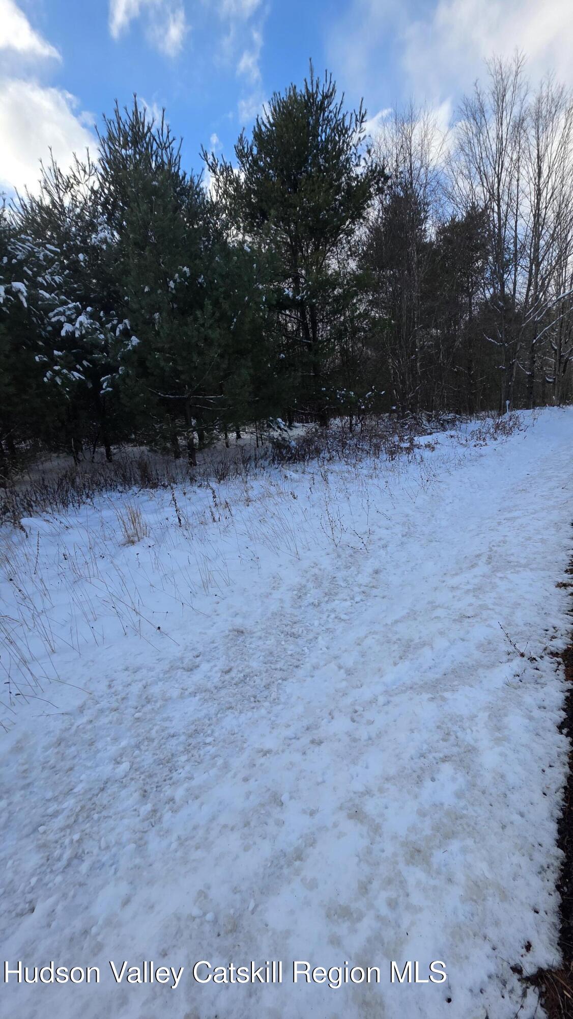 1487 Ulster Heights Road Ellenville, NY 12428 - Photo 6 of 6 a view of backyard with green space