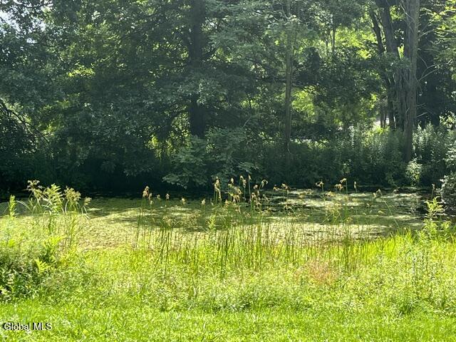 359 Baldwin Road Summit, NY 12093 - Photo 22 of 22 Pond