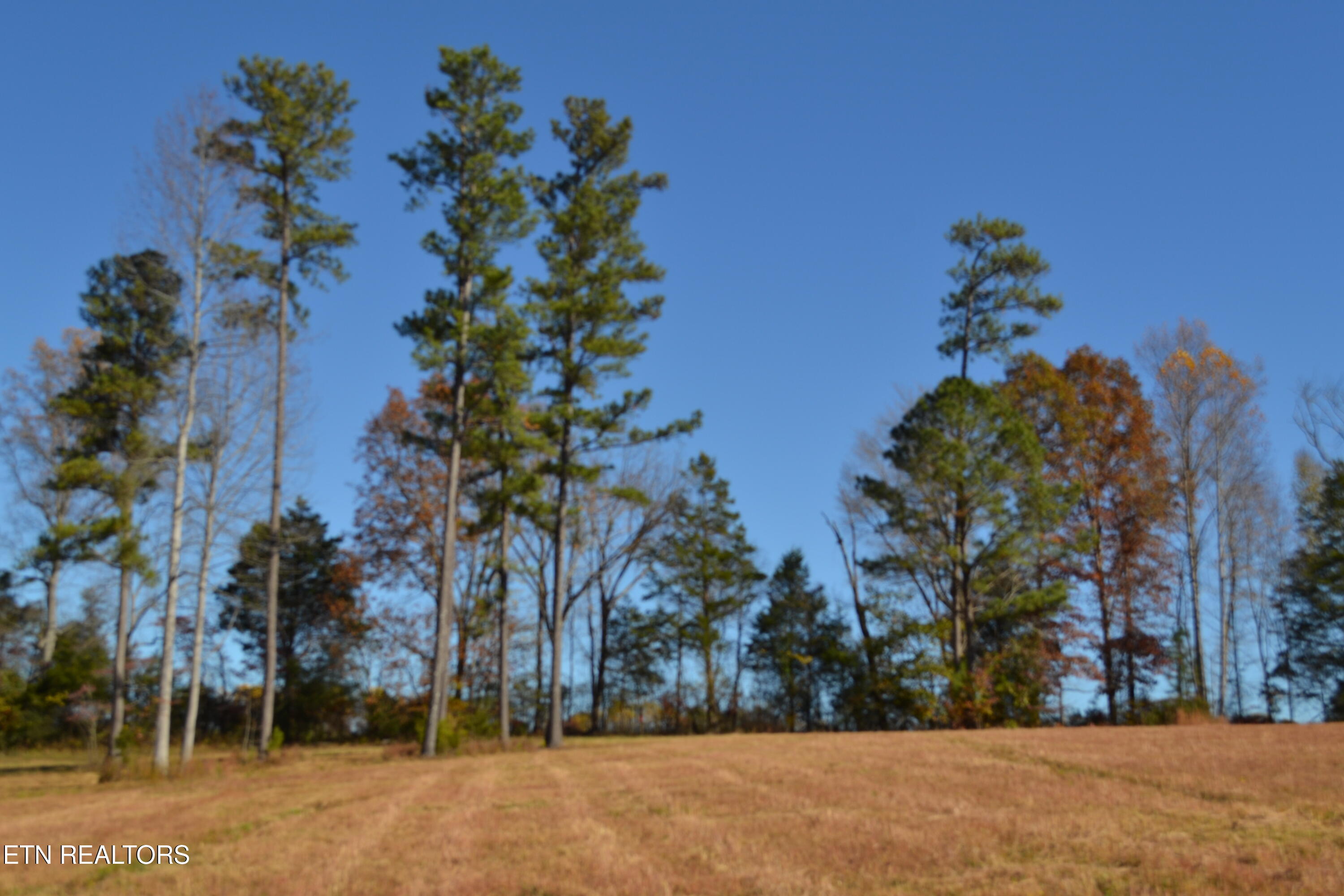 28.30-ac Whitson Hollow Road Red Boiling Springs, TN 37150 - Photo 37 of 50 DSC_0142
