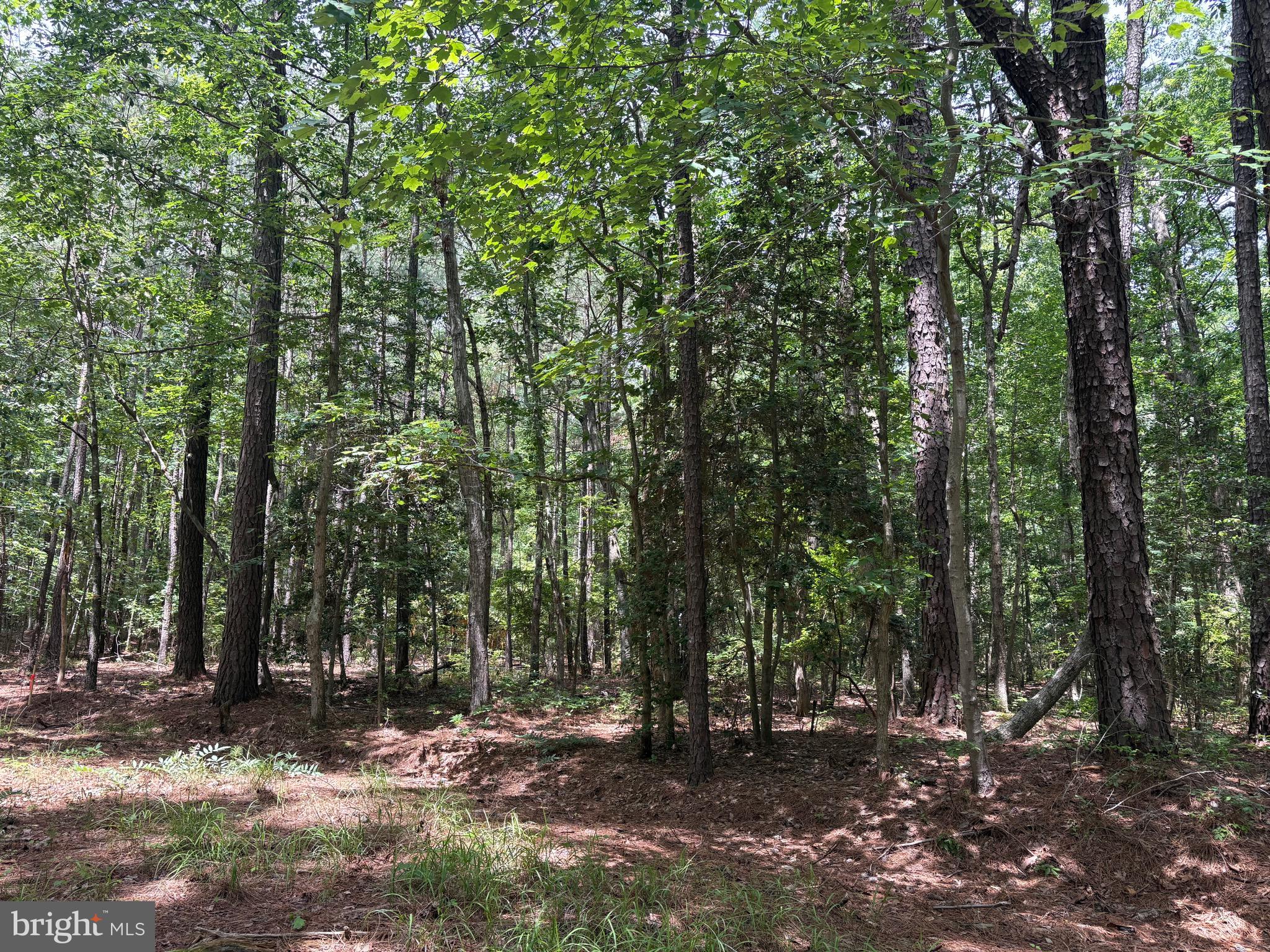 Lot 27 Stotsylvania Road Hague, VA 22469 - Photo 3 of 8