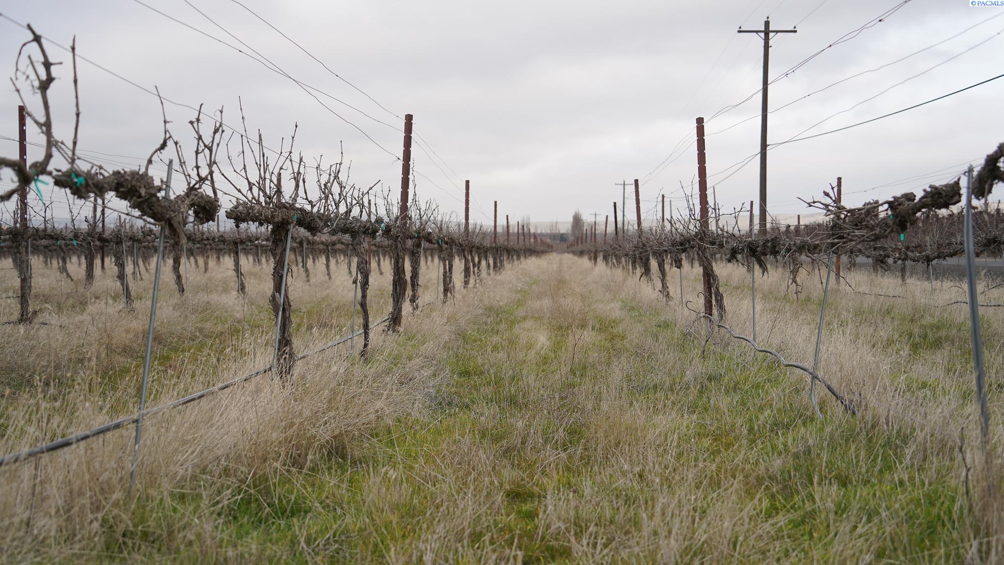 Nka West Knox Road Benton City, WA 99320 - Photo 4 of 26 Gallery Image 4