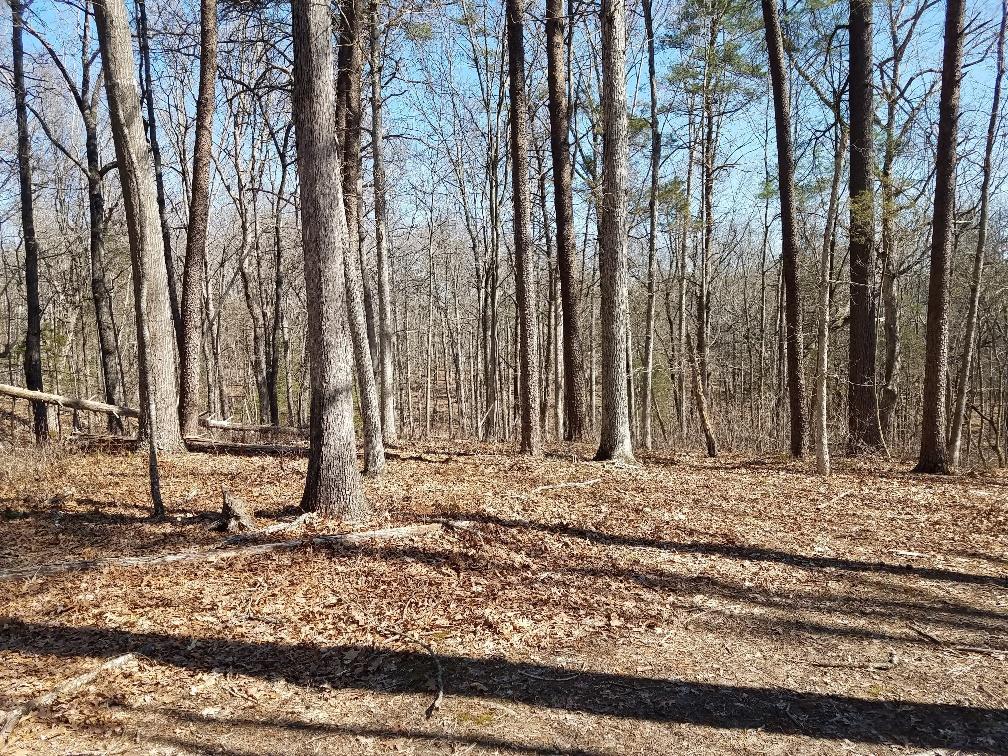 a view of a backyard of the house