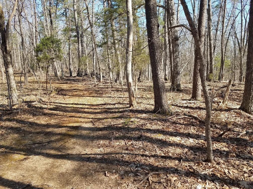 0 Timber Ridge Buchanan, VA 24066 - Photo 2 of 7 a view of house with trees