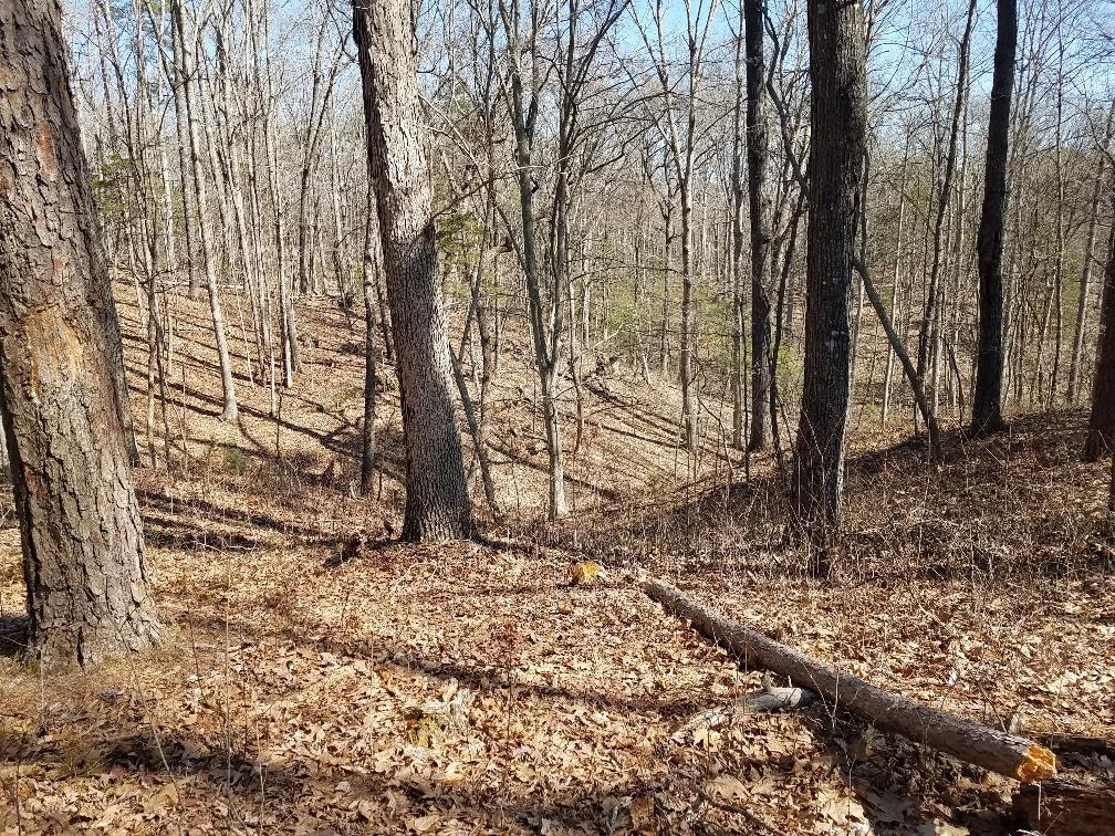 0 Timber Ridge Buchanan, VA 24066 - Photo 5 of 7 a backyard of a house with lots of green space