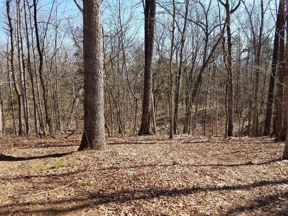 0 Timber Ridge Buchanan, VA 24066 - Photo 6 of 7 a view of a yard covered with snow