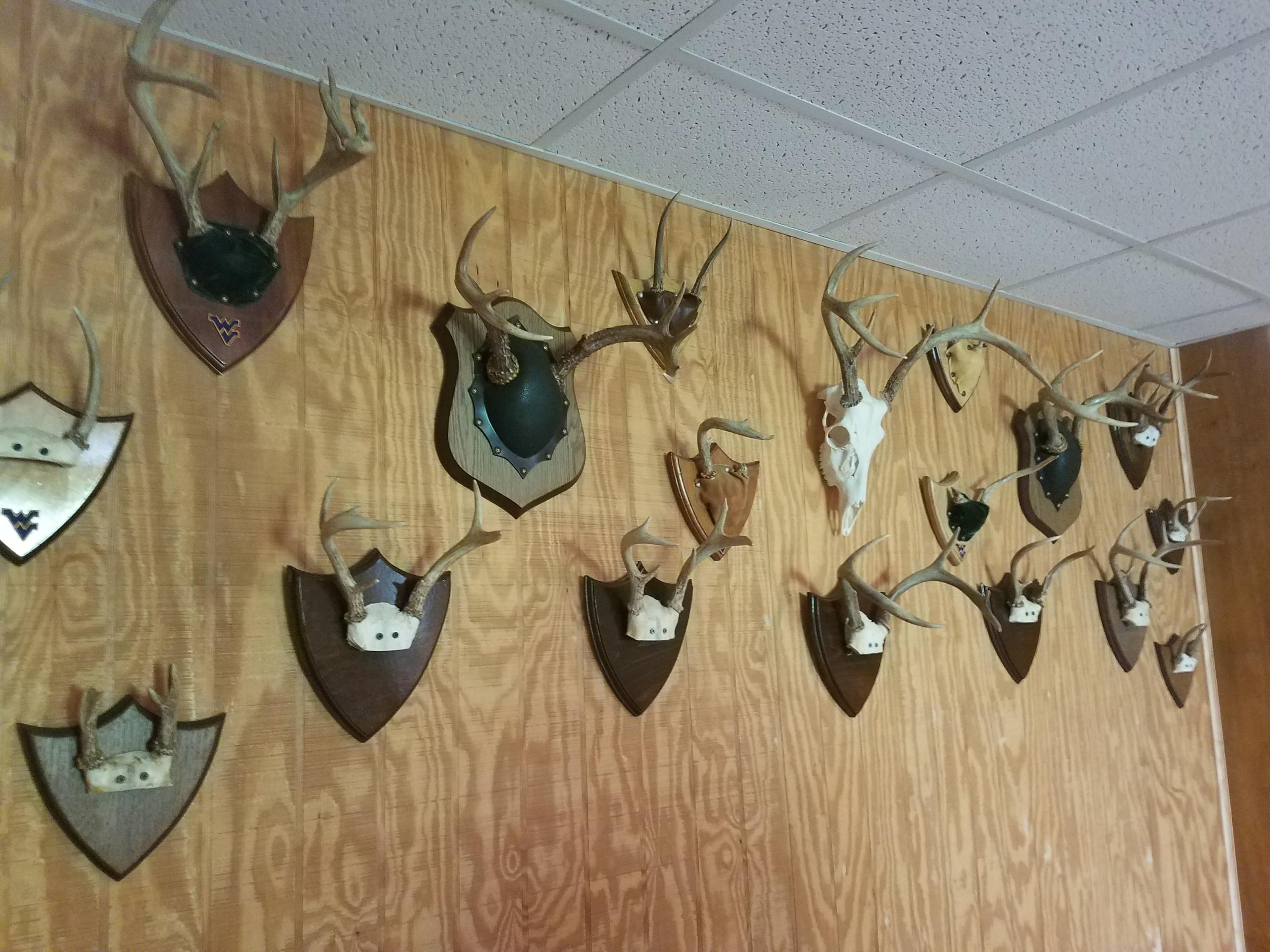 0 Timber Ridge Buchanan, VA 24066 - Photo 7 of 7 a bathroom with a shower and a tub