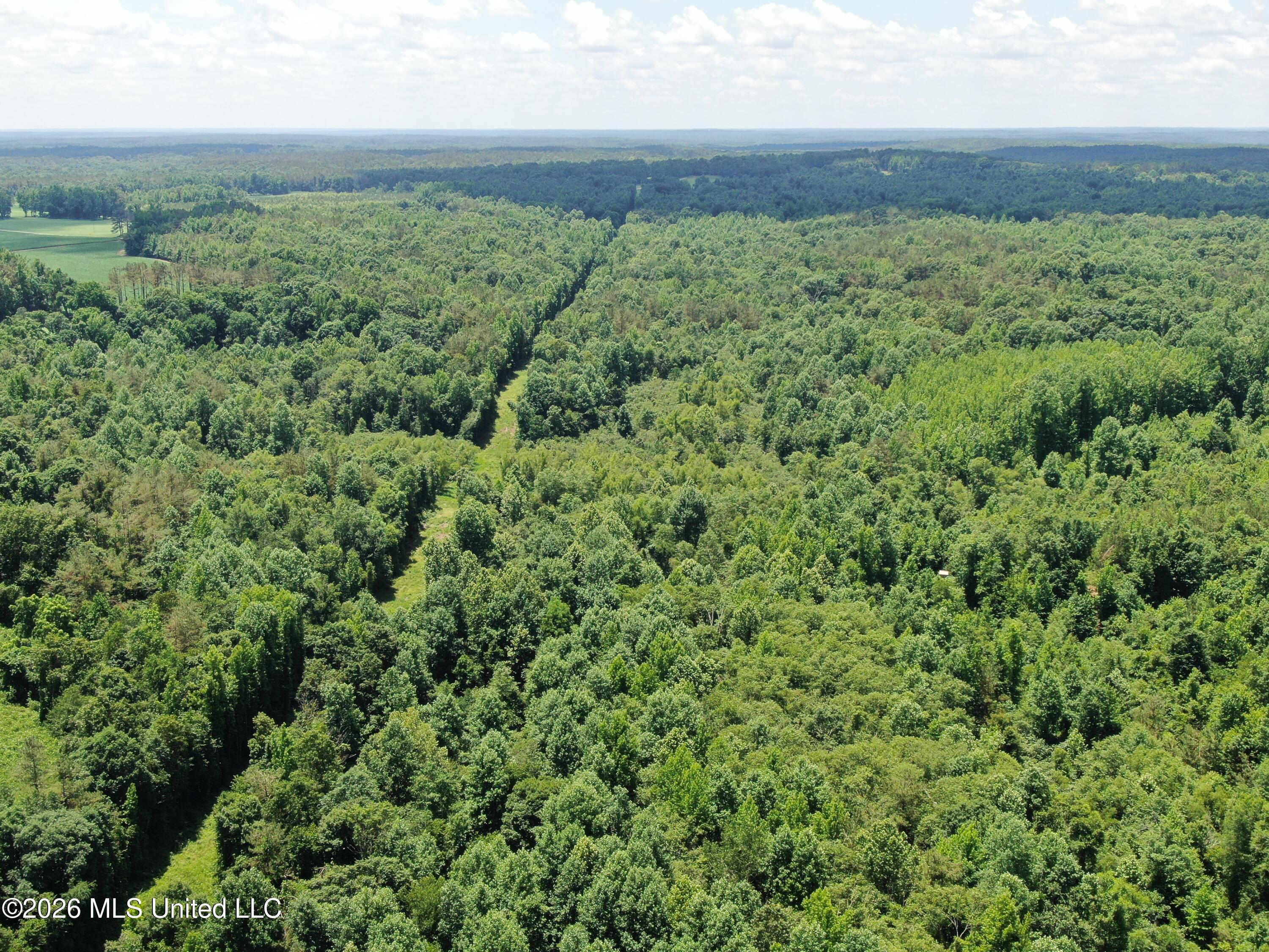 0 Scruggs Road Holly Springs, MS 38635 - Photo 7 of 25 DJI_0034