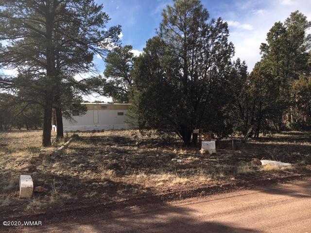 2868 Deer Trail Overgaard, AZ 85933 - Photo 1 of 1