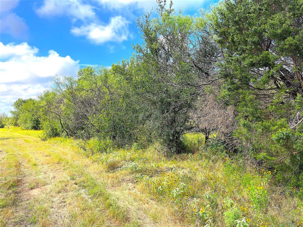 11020 Highway 281 Perrin, TX 76486 - Photo 18 of 22