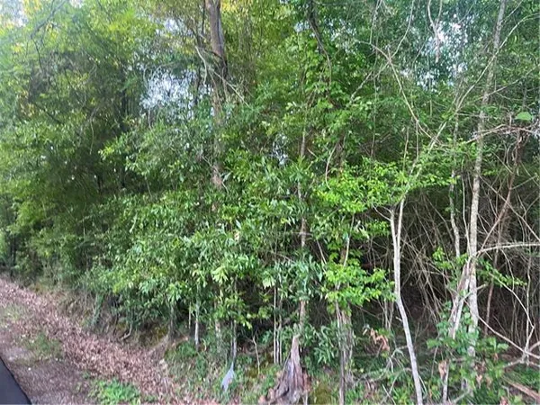 $150,000 | 0 Faith Mission, Marksville, LA 71351