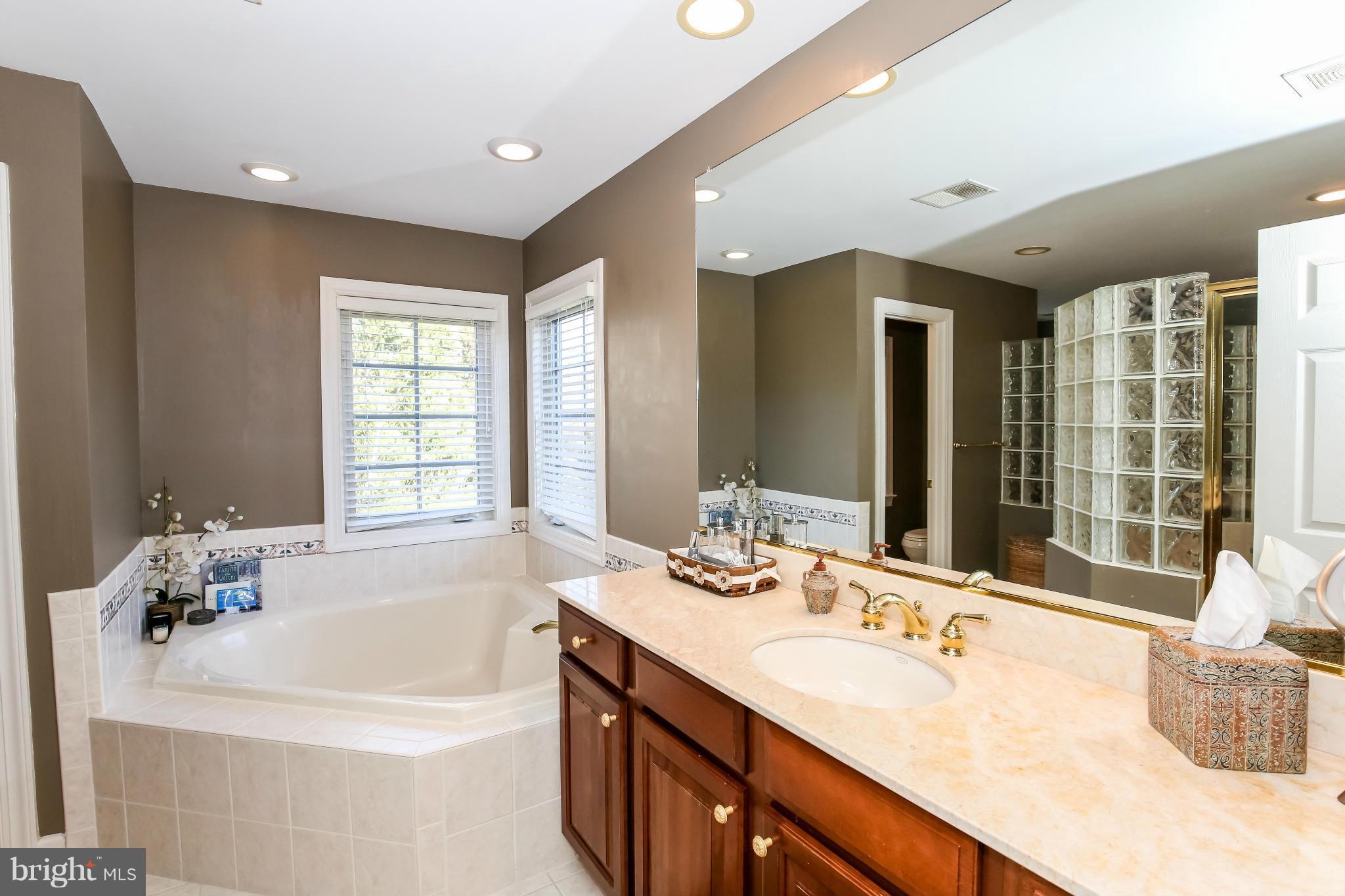 10403 Grey Fox Road Potomac, MD 20854 - Photo 12 of 23 a bathroom with a tub sink and mirror