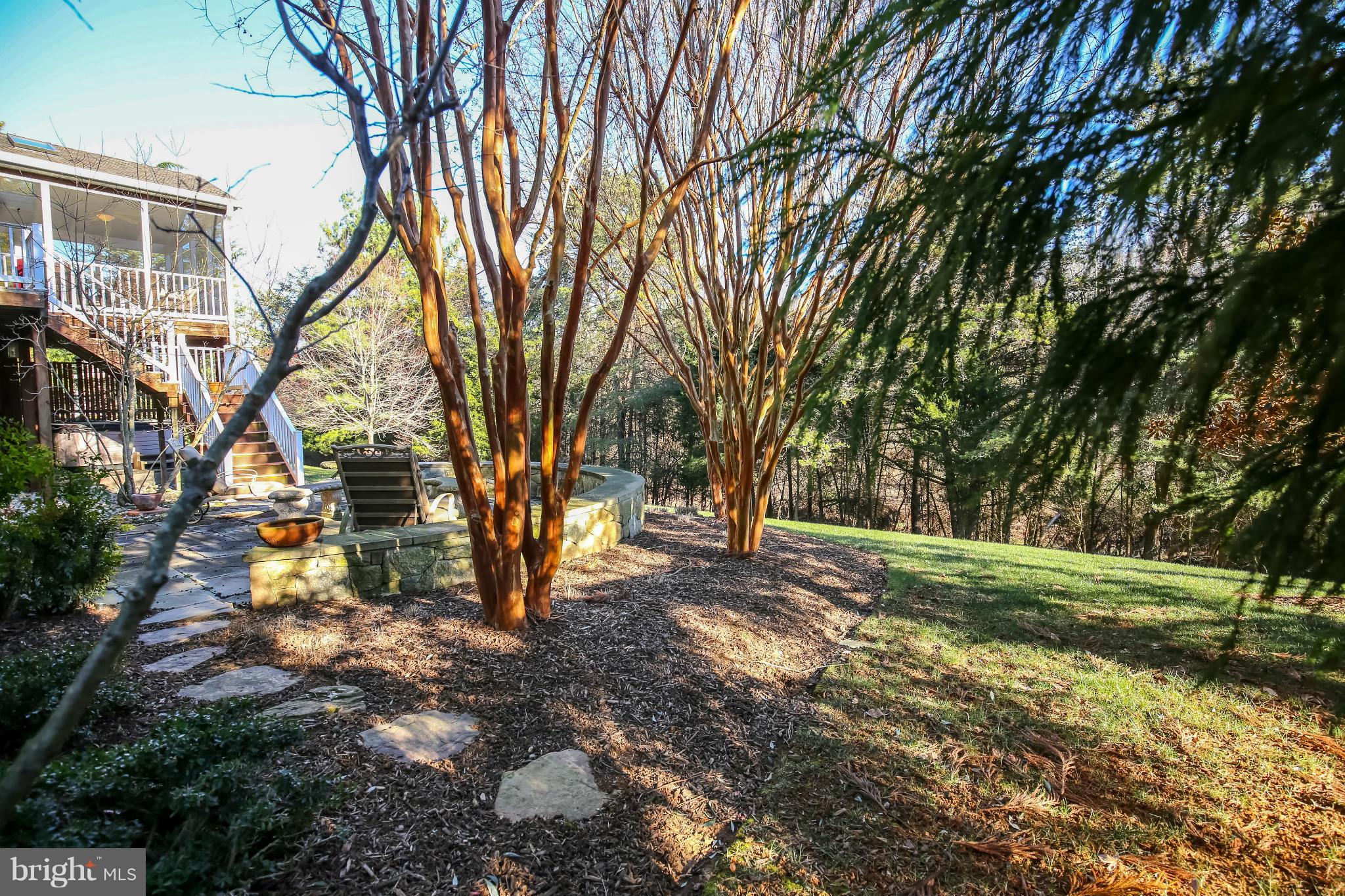 10403 Grey Fox Road Potomac, MD 20854 - Photo 22 of 23 a view of a yard with plants and trees
