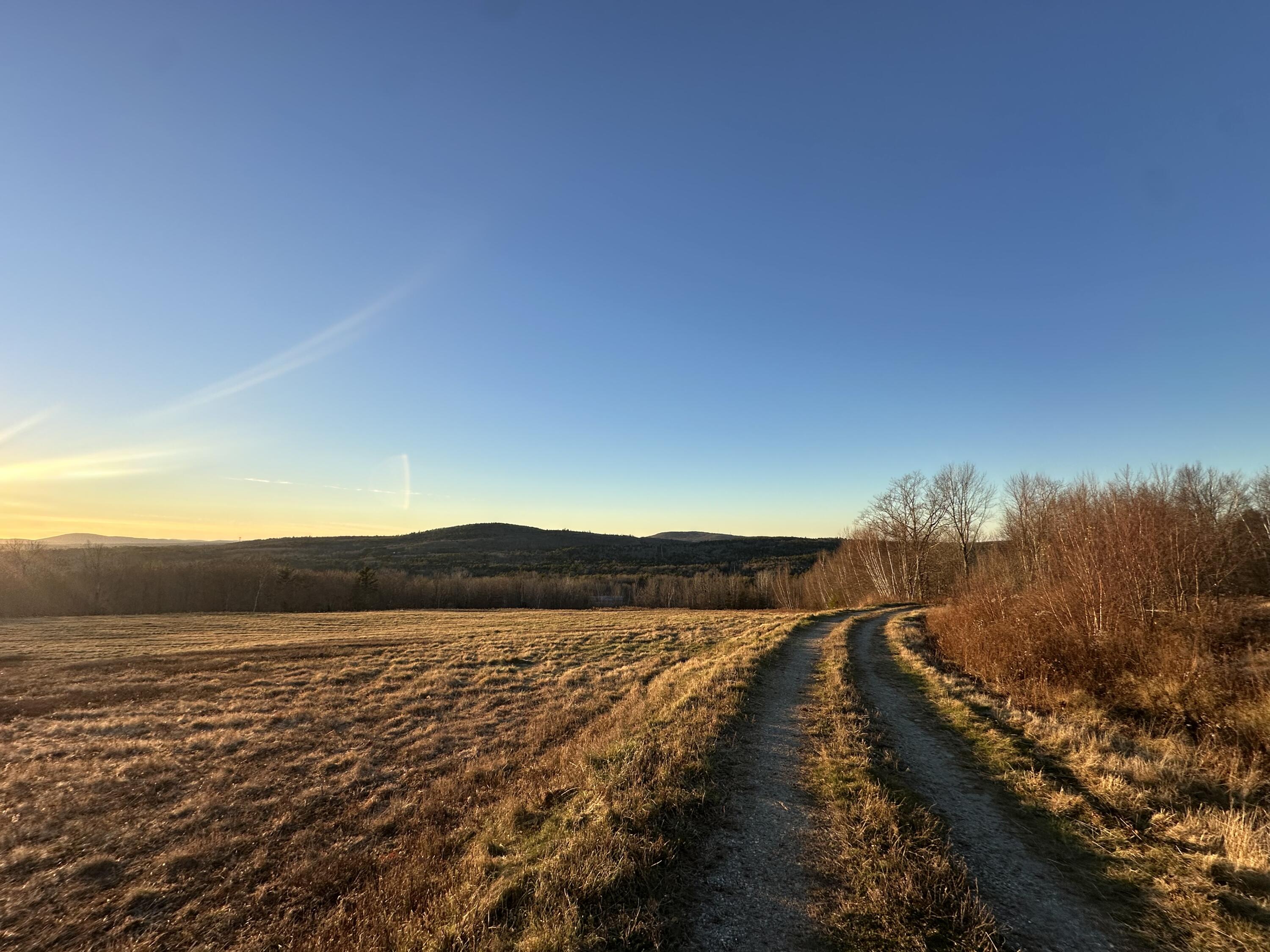 Map16-lot10 Upper Long Pond Road Orland, ME 04472 - Photo 4 of 8 Carey3