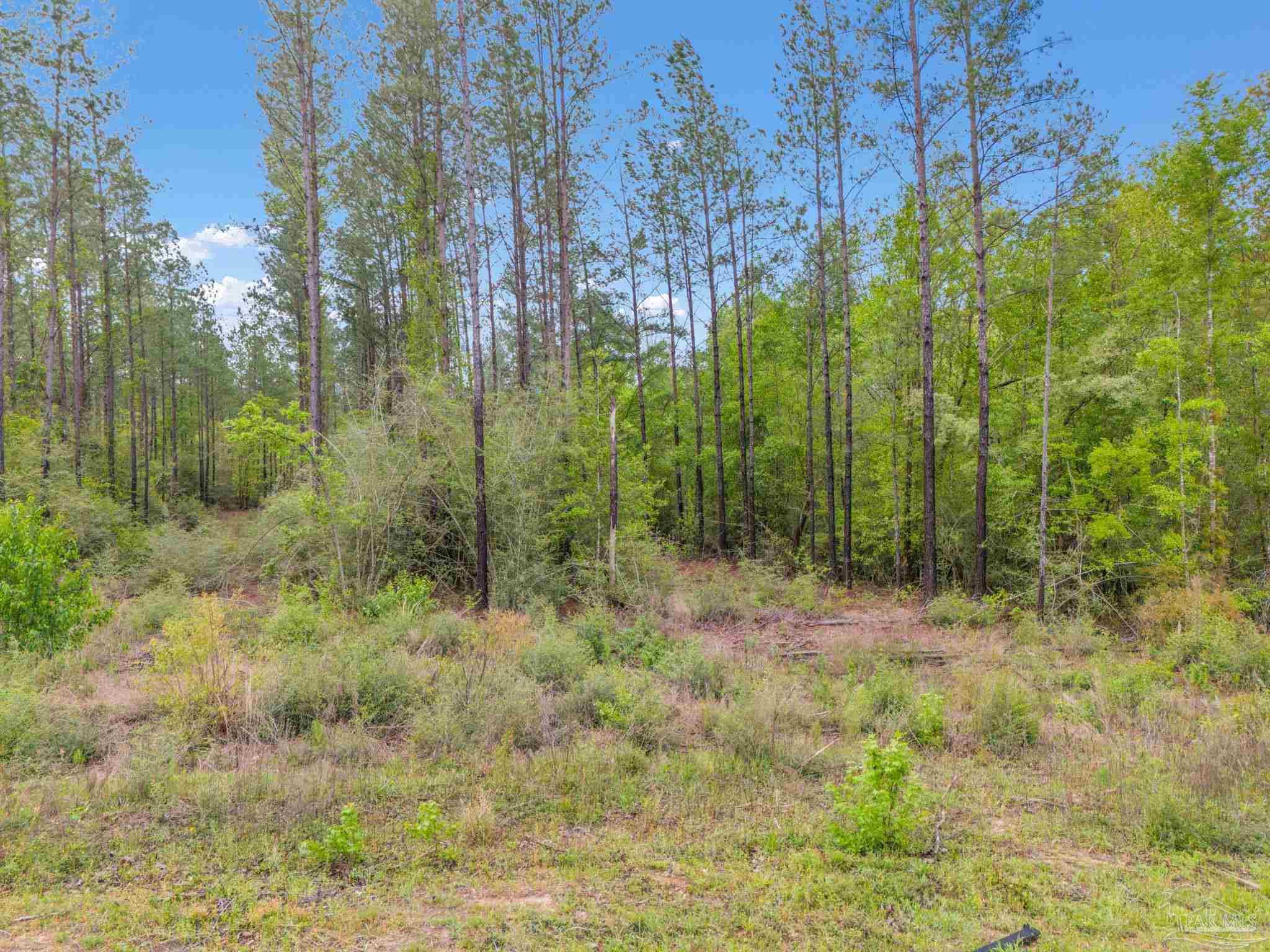Lot 8 Mineral Springs Road Jay, FL 32565 - Photo 1 of 3 Gallery Image 1