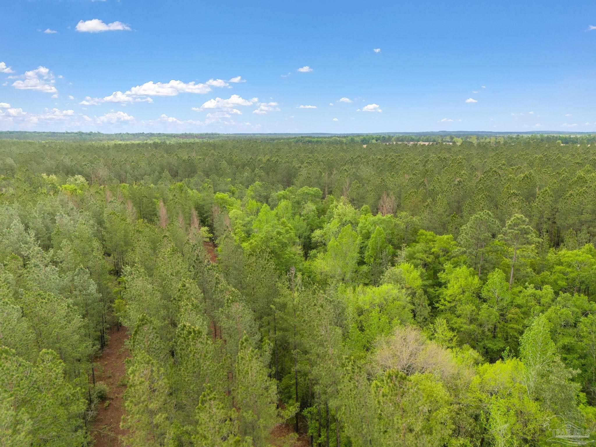 Lot 8 Mineral Springs Road Jay, FL 32565 - Photo 2 of 3 Gallery Image 2