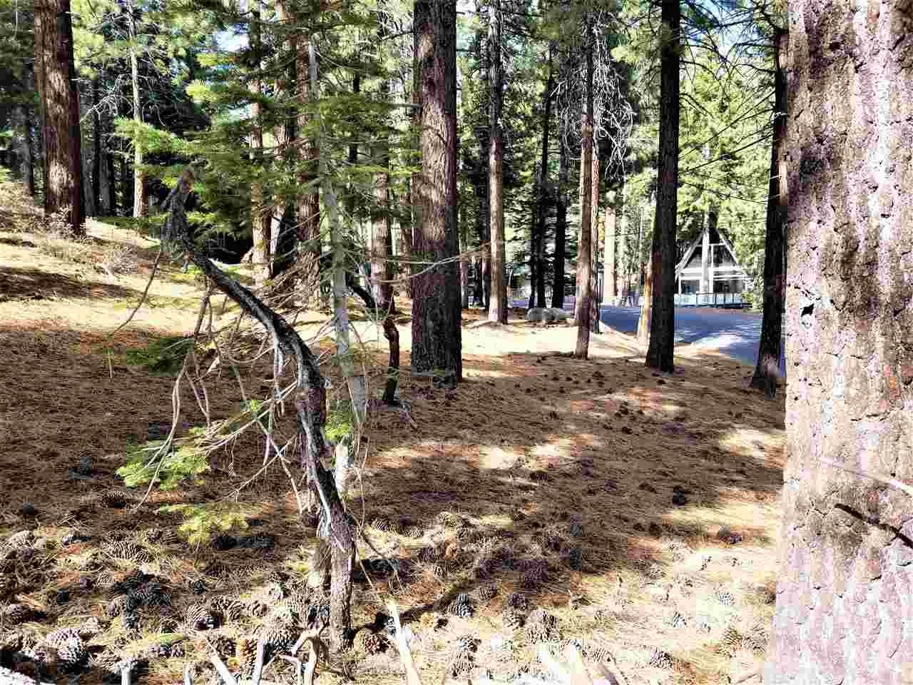 123 Alpine Circle Mammoth Lakes, CA 93546 - Photo 4 of 6 a backyard of a house with lots of green space