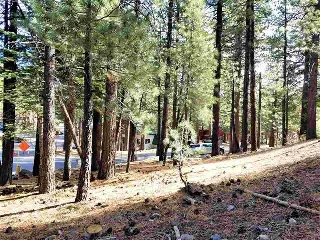 a view of a snow on the side of the road