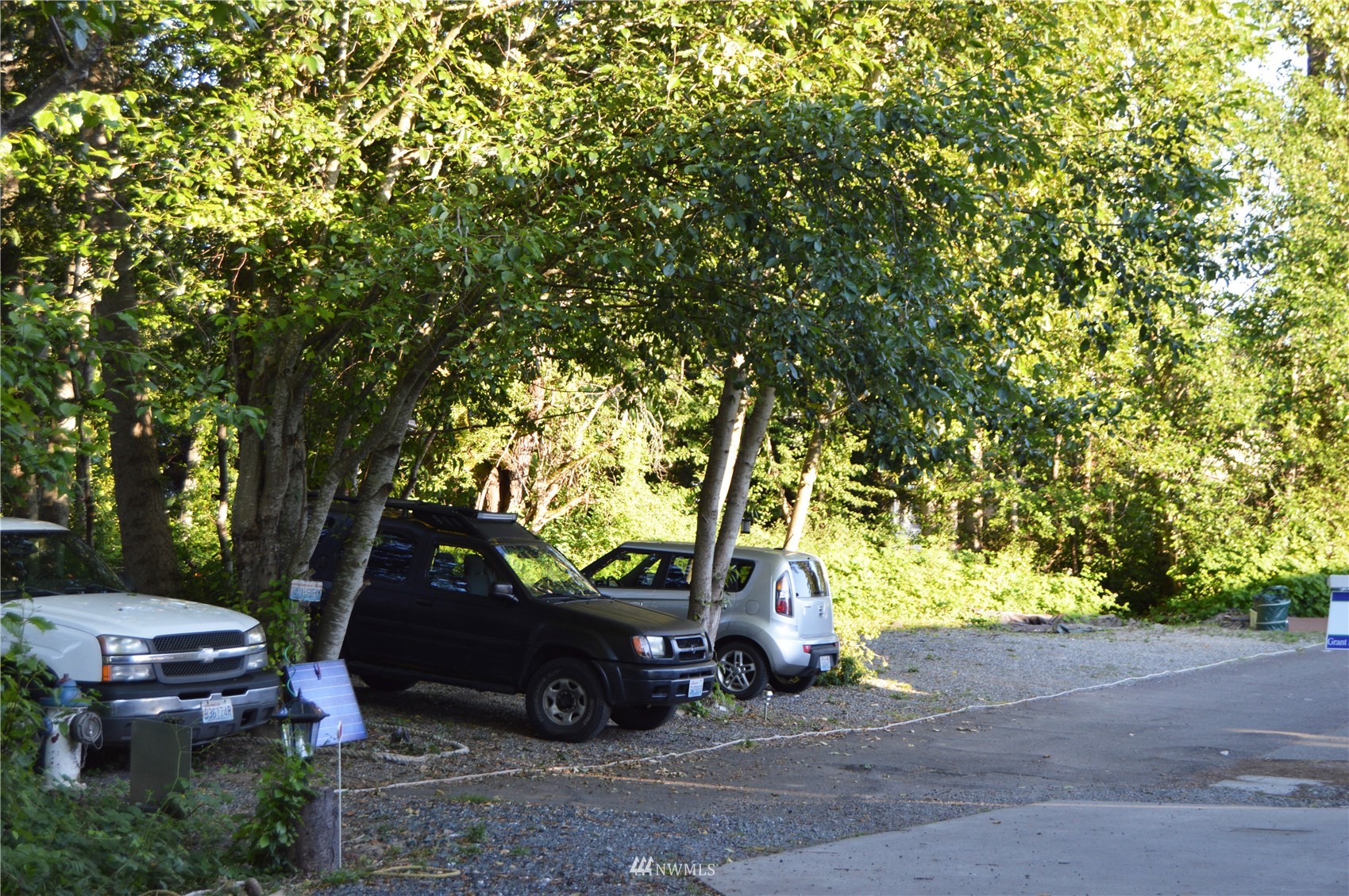 920 Ruby Street Blaine, WA 98230 - Photo 30 of 40 a view of a tree in front of a house