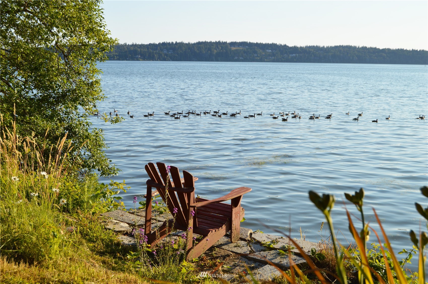 920 Ruby Street Blaine, WA 98230 - Photo 31 of 40 a view of a terrace with table and chairs