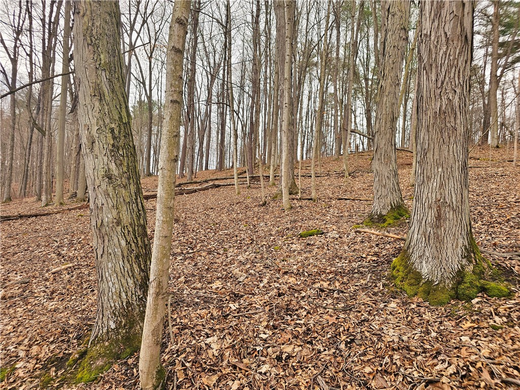 2130 Guyanoga Road Jerusalem, NY 14527 - Photo 6 of 26