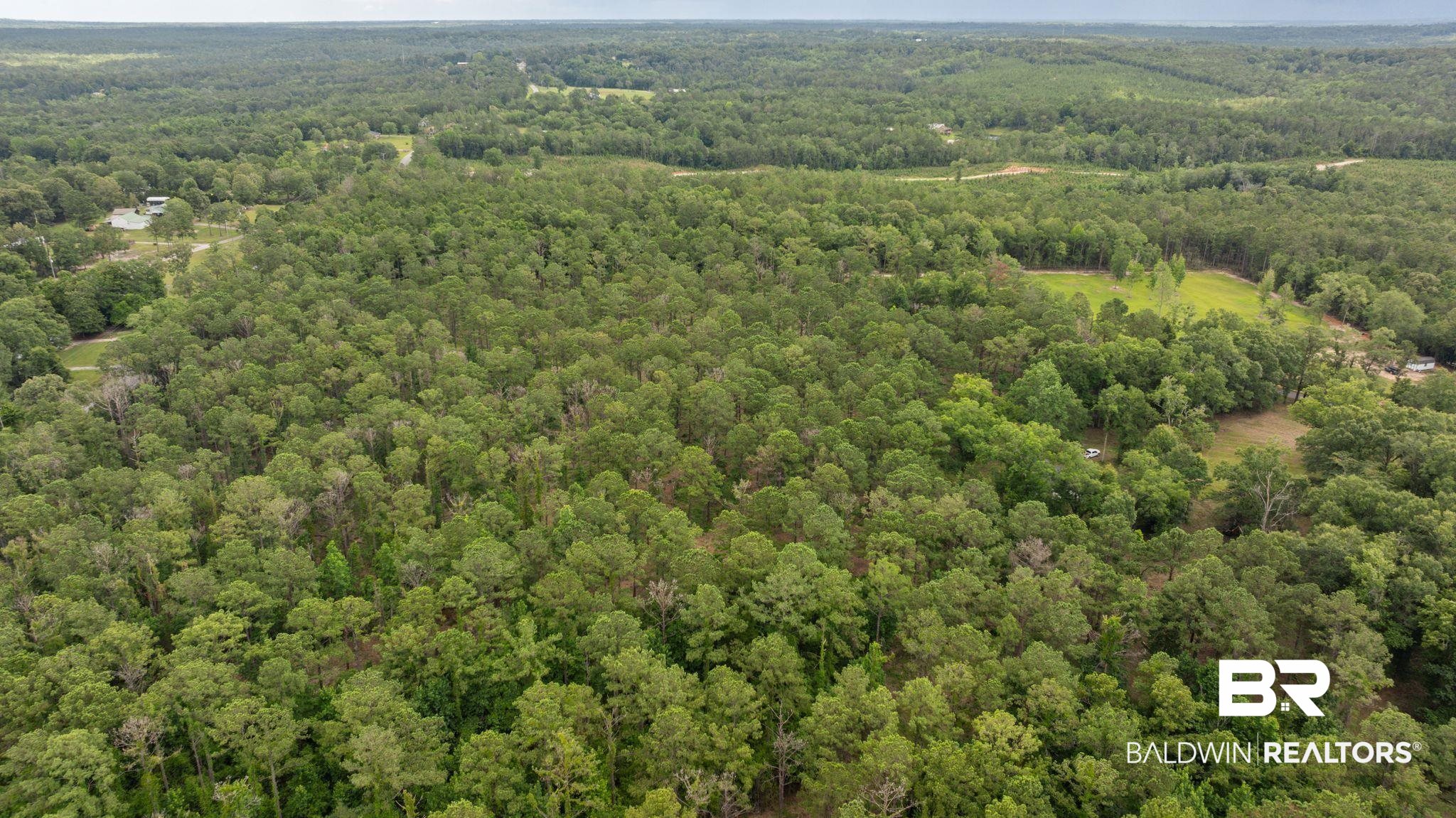 0 Hurricane Road Bay Minette, AL 36507 - Photo 23 of 30