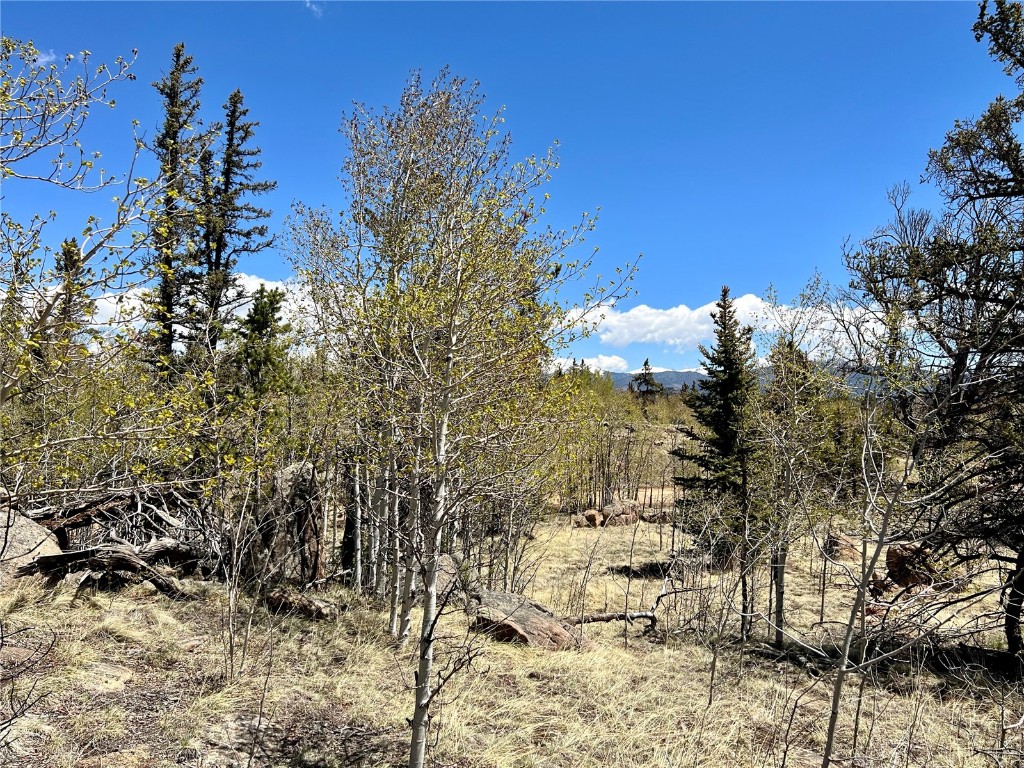 201 Kodiak Road Como, CO 80456 - Photo 13 of 15 Gallery Image 13
