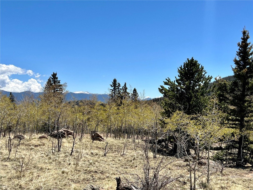 201 Kodiak Road Como, CO 80456 - Photo 14 of 15 Gallery Image 14