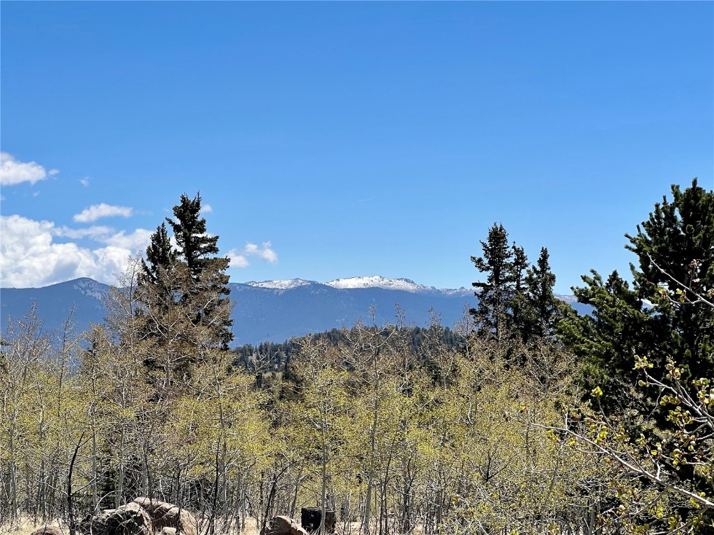 201 Kodiak Road Como, CO 80456 - Photo 15 of 15 Gallery Image 15