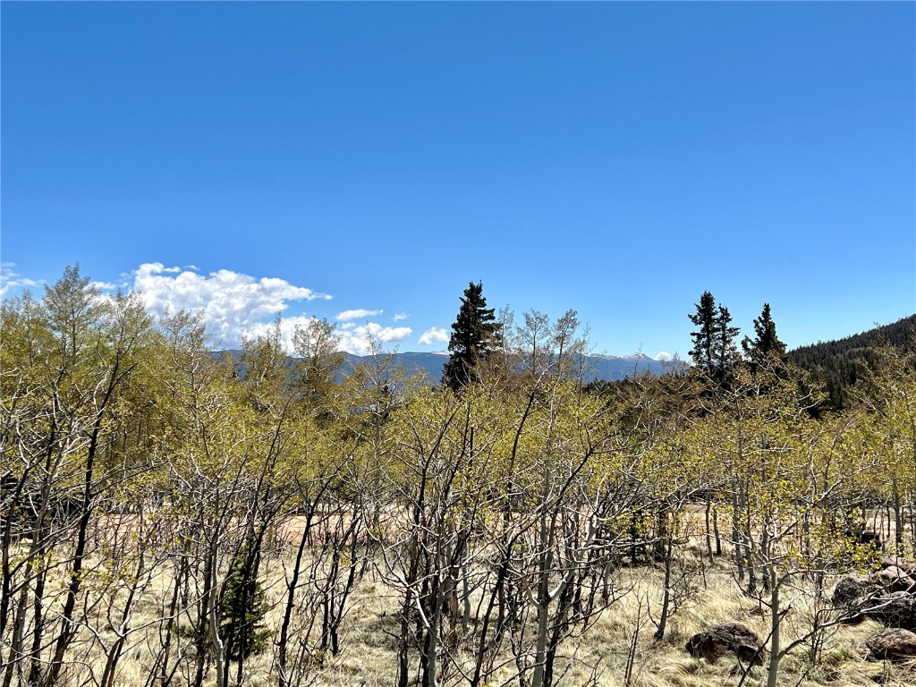 201 Kodiak Road Como, CO 80456 - Photo 3 of 15 Gallery Image 3